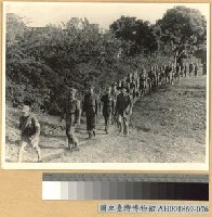 藏品(粵省中山順德兩縣之游擊隊)的圖片